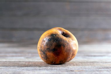 Çürük elma. Ahşap arka planda çirkin, modaya uygun, kötü elma. İğrenç çürük elma..
