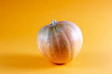 Sarı arka planda küçük parlak sarı balkabağı. Sonbahar konsepti.