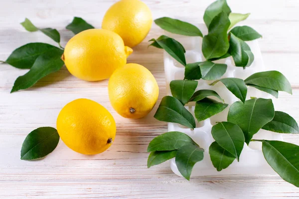 Limones Frescos Sobre Una Mesa Con Brotes Limón Recipiente Agua — Foto de Stock