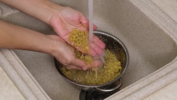 Cuisson Domicile Riz Bulgur Dans Tamis Lavé Sous Eau Courante — Video