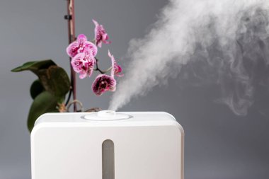 Evde nemlendirici var. Nemlendirici. Buhar. Metin için boşluk