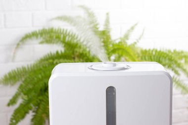 Evde nemlendirici var. Nemlendirici. Buhar. Metin için boşluk