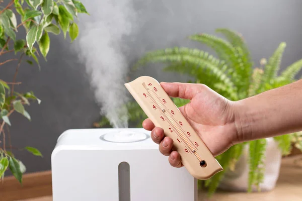 Humidificateur Thermomètre Mesurant Température Humidité Optimales Dans Une Maison Appartement — Photo