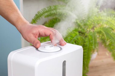 Evde aroma yağı yayıcı, hava nemlendiricisinden buhar, boş alan. Ultrasonik teknoloji, içerideki hava neminin artması, rahat yaşam koşulları, nem.