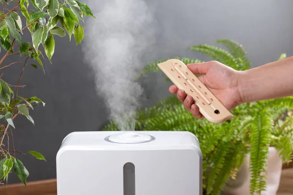 Humidificateur Thermomètre Mesurant Température Humidité Optimales Dans Une Maison Appartement — Photo