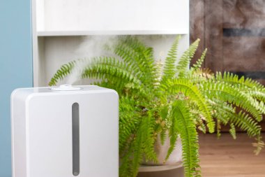 İş sırasında beyaz hava nemlendirici ve temiz hava buharlaştırır. Evde Aromaterapi. İnsanların rahatlığını artırmak..