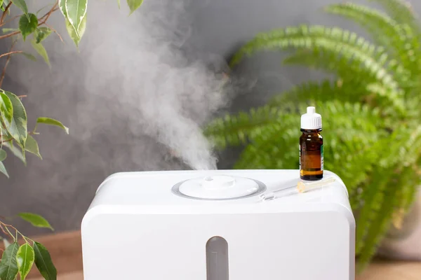 Aromatherapy Home Humidifier House Moisturizing Steam — Stock Photo, Image