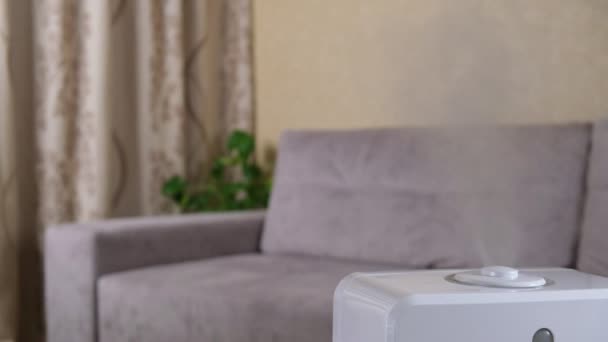 Luftbefeuchter Verteilt Dampf Ein Wohnzimmer Mit Zimmerpflanzen Schafft Eine Gemütliche — Stockvideo
