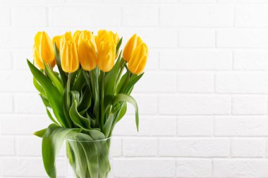 Vazoda bir buket sarı lale. Bir tebrik kartı. Mutlu Paskalyalar. Sevgililer Günü. Doğum günü kutlaması. 8 Mart. Anneler Günü. Boşluğu kopyala