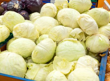 Beyaz lahana kafaları markette satılık, büyük olgun sebzeler arka planda - kalsiyum yiyecekler, vitaminler zengin, ucuz, sağlıklı doğal yiyecekler