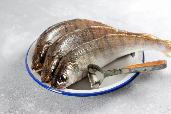 Peixe Fresco Descascado Pronto Para Cozinhar Poleiro Lúcio Fresco Uma — Fotografia de Stock