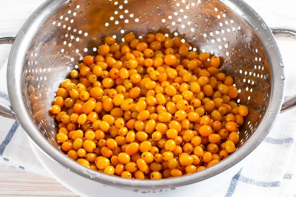 Fresh Sea Buckthorn Colander Harvesting Sea Buckthorn Winter Frozen Sea — Stock Photo, Image