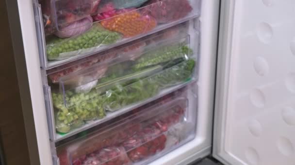 冷蔵庫の冷凍庫に閉じ込められた真空されている冷凍ポーク肉 家庭用品棚 冷凍食品 — ストック動画