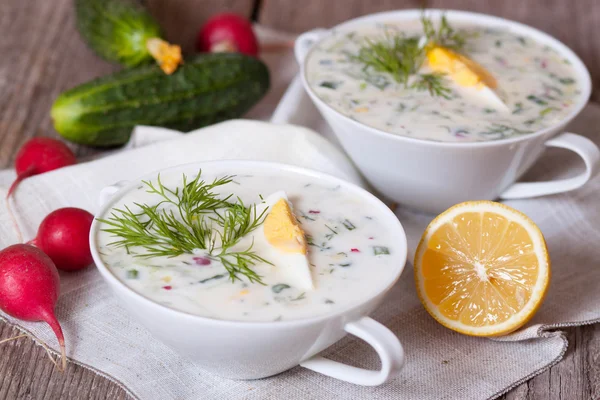 Okroshka - Sup dingin Rusia dengan sayuran — Stok Foto