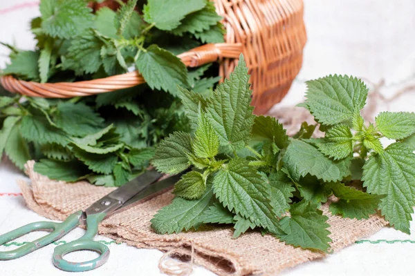 Nettle on the table — Stock Photo, Image