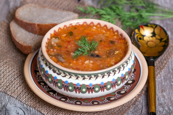 Cuisine traditionnelle russe - soupe de légumes au chou — Photo