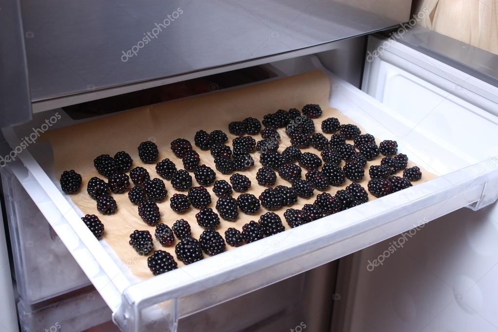 Frozen Blackberries on the shelf of the refrigerator