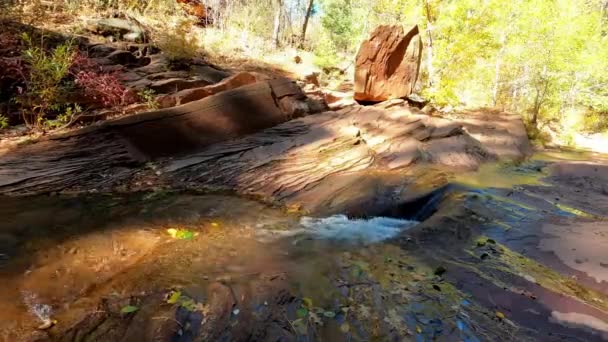 Oak Creek Canyon Flow with Boulder - Sedona, Arizona — Stockvideo