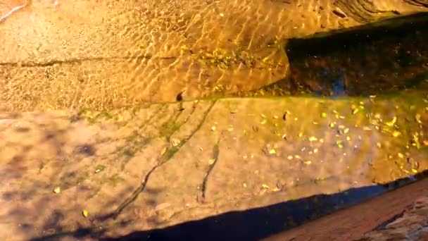 स्टोन ब्लॉक और शरद ऋतु पत्तियों के साथ ओक क्रीक घाटी प्रवाह सेडोना, एरिजोना — स्टॉक वीडियो