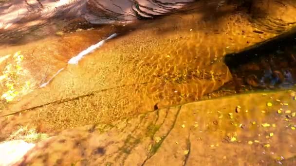 Oak Creek Canyon Flow cu blocuri de piatră și frunze de toamnă - Sedona, Arizona — Videoclip de stoc