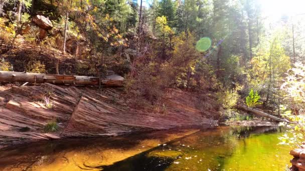 Canyon zwembad in Arizona - Sedona, Arizona — Stockvideo