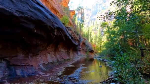 Oak Creek Canyon Undercut Bank - Sedona, Arizona — 图库视频影像
