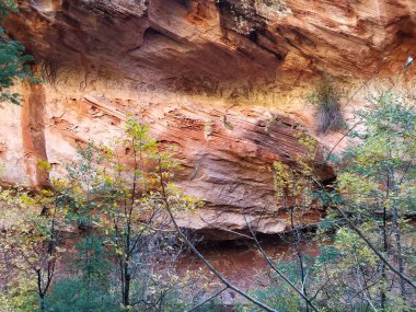 Undercut Wall of Oak Creek in Sedona, Arizona