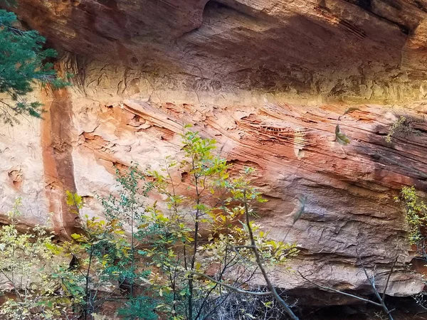 Подземная стена Дубового ручья в Седоне, Аризона — стоковое фото
