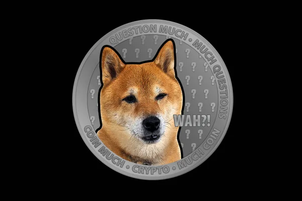 Shiba Inu Shib Doge Coin Crypto Currency Question Confused Theme — 图库照片