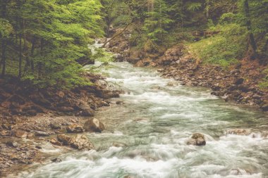 Etkileyici doğanın ortasında vahşi bir nehir.