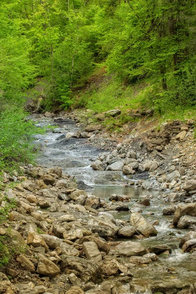 Een Wilde Rivier Midden Indrukwekkende Natuur — Stockfoto