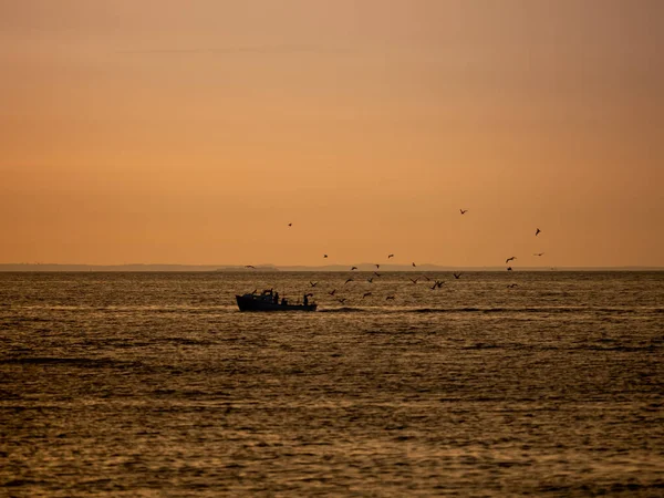 Ein Boot Segelt Wasser Vögel Fliegen Drüber — Stockfoto