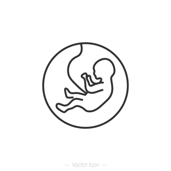 Baba Méhben Fetus Vonal Szimbólum Embrió Fejlesztés Izolált Ikon Vektorillusztráció — Stock Vector