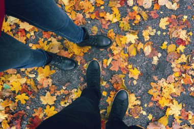 Sonbahar yolunda düşen yapraklar