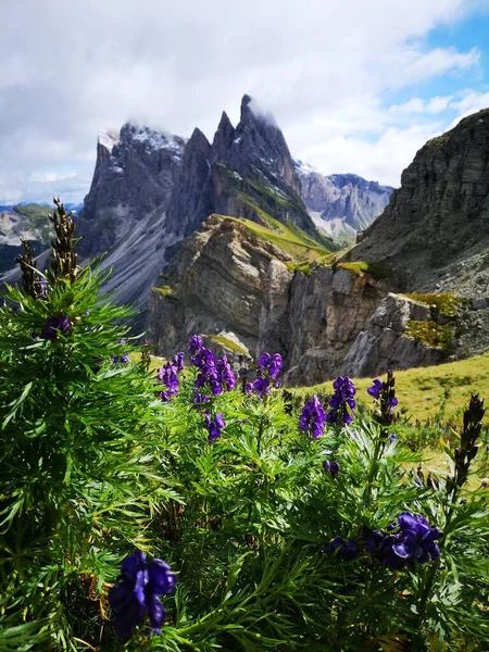 Dolomite Ulusal Parkı 'ndaki güzel dağ manzarası Unesco Dünya Mirası, Trentino alto Adige, İtalya
