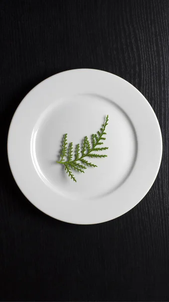 Χορτοφαγία Δίαιτα Ένα Στρογγυλό Λευκό Πιάτο Ένα Πράσινο Κλαδί Μαύρο — Φωτογραφία Αρχείου