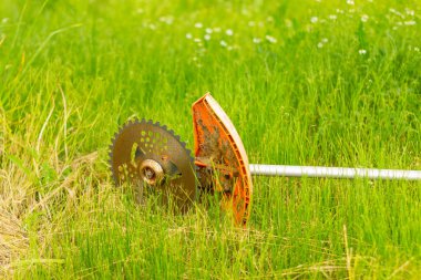 Otomatik tırpan yeşil çimlerin üzerinde yatıyor. Mevsimlik fazla bitki yetiştirme. Yakın plan..