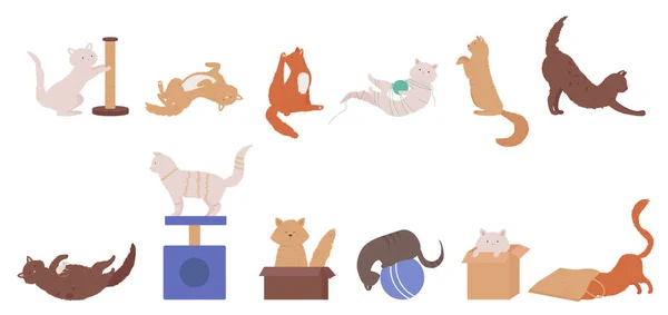 Cat pet plays set, cartoon cute animal characters actions — Stock Vector