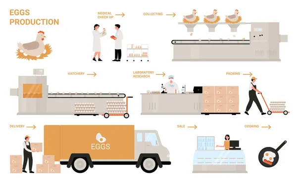 Producción de proceso de huevo en fábrica de pollo, industria alimentaria — Archivo Imágenes Vectoriales