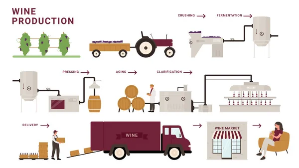 ワイン生産プロセスの段階、インフォグラフィック漫画現代ワイナリー工場の処理ライン — ストックベクタ