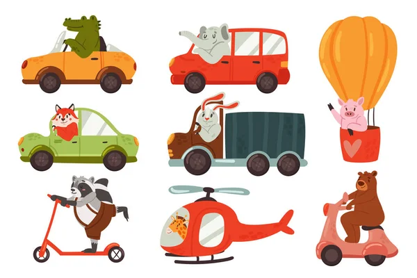 Animals drive car vehicle transport set, divertente driver coniglietto elefante volpe procione — Vettoriale Stock