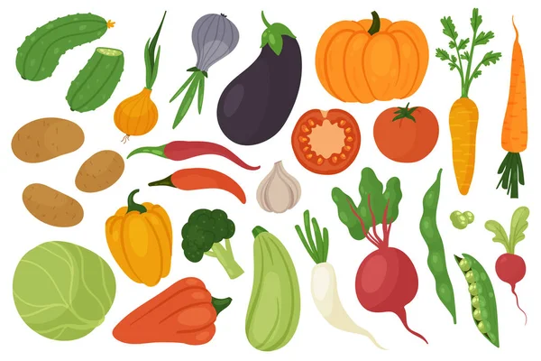 Récolte de légumes, régime végétarien ensemble alimentaire, chou frais carotte concombre pomme de terre oignon — Image vectorielle