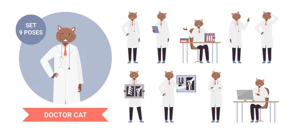 Doctor cat character poses, anthropomorphic set, medicine worker kitten posing, working — Stok Vektör