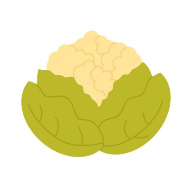 Karnabahar lahana taze sebze, tarım pazarından organik gıda.