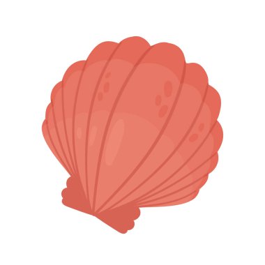 İncili kabuk, okyanus yaşamından deniz kabuklu deniz hayvanı, tropikal deniz suları.