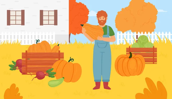 Exploitation agricole d'automne dans le village, exploitant agricole récolte, exploitation de citrouille fraîche et mûre — Image vectorielle