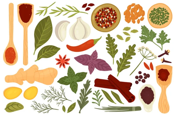 Ensemble d'épices pour la cuisson des aliments, menu de plantes d'épices biologiques fraîches dans la collection de plantes — Image vectorielle