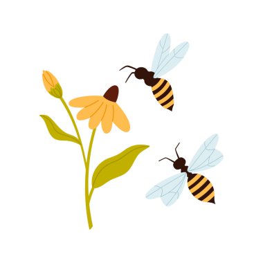 İzole edilmiş beyaz arkaplan çizimi üzerinde sarı çiçeğin yanında uçan iki bal arısı.