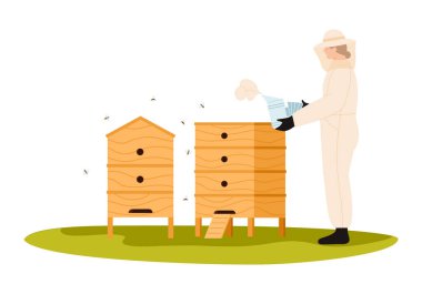İzole edilmiş koruyucu elbiseli arı yetiştiricisi, bal üretim vektörü illüstrasyonu için ahşap arı kovanlarının yanında sigara içiyor.