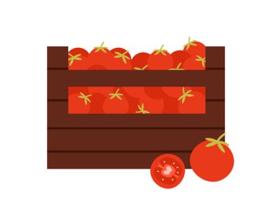 Ketçap üretimi için ahşap bir sandıktaki olgun domatesler izole edilmiş beyaz arka plan çizimi üzerinde.